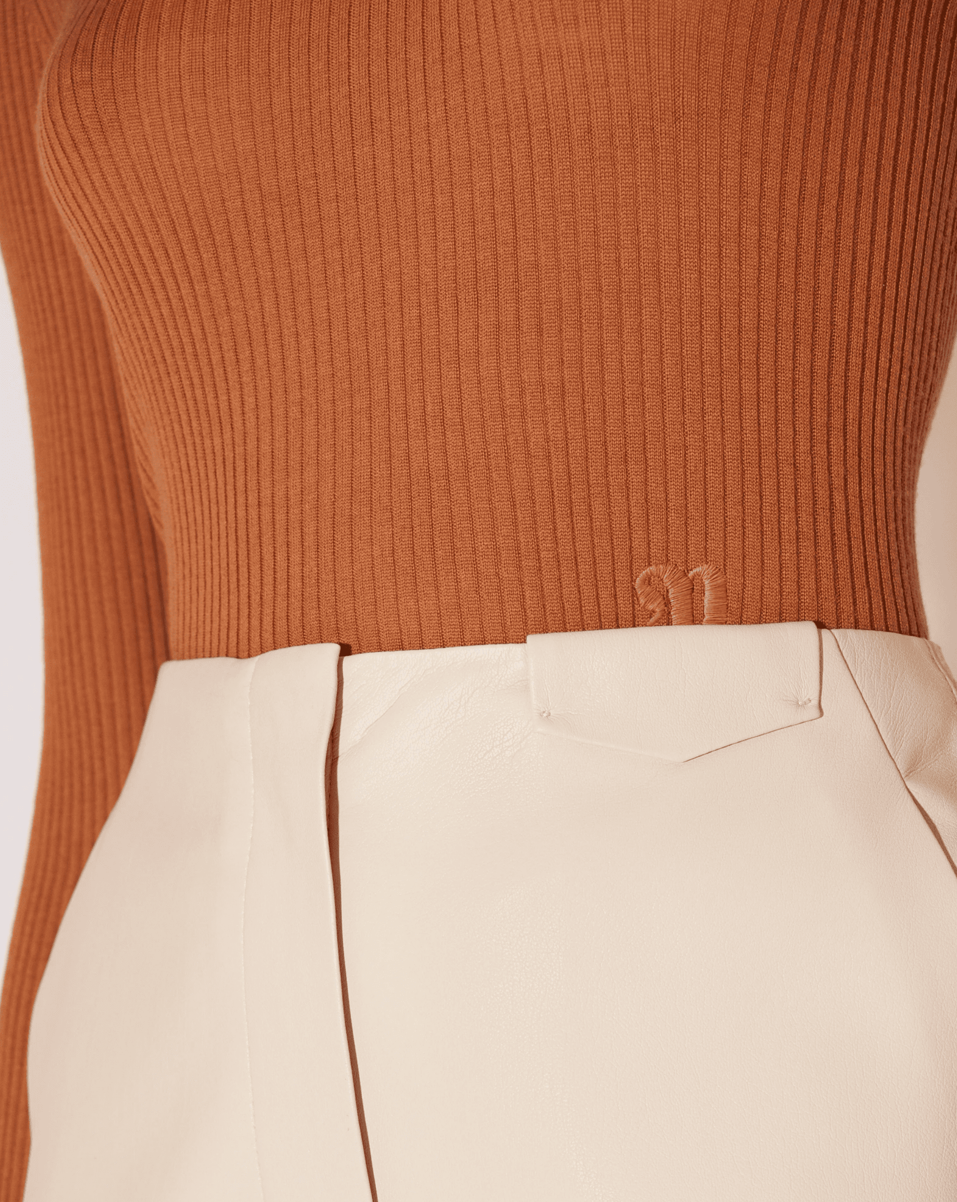 NANUSHKA Harri Merino Wool Turtleneck Top in Ginger