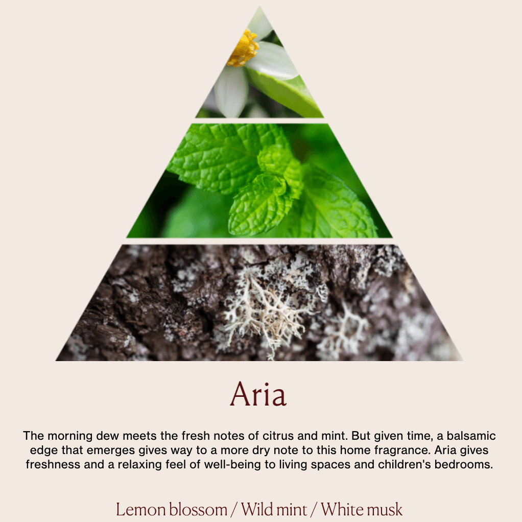 DR. VRANJES Home Fragrance in Aria | CLOSET Singapore