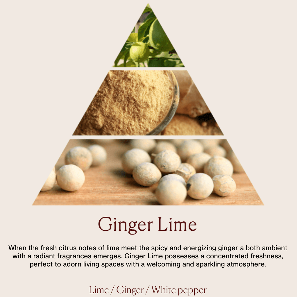 DR. VRANJES Home Fragrance in Ginger Lime | CLOSET Singapore
