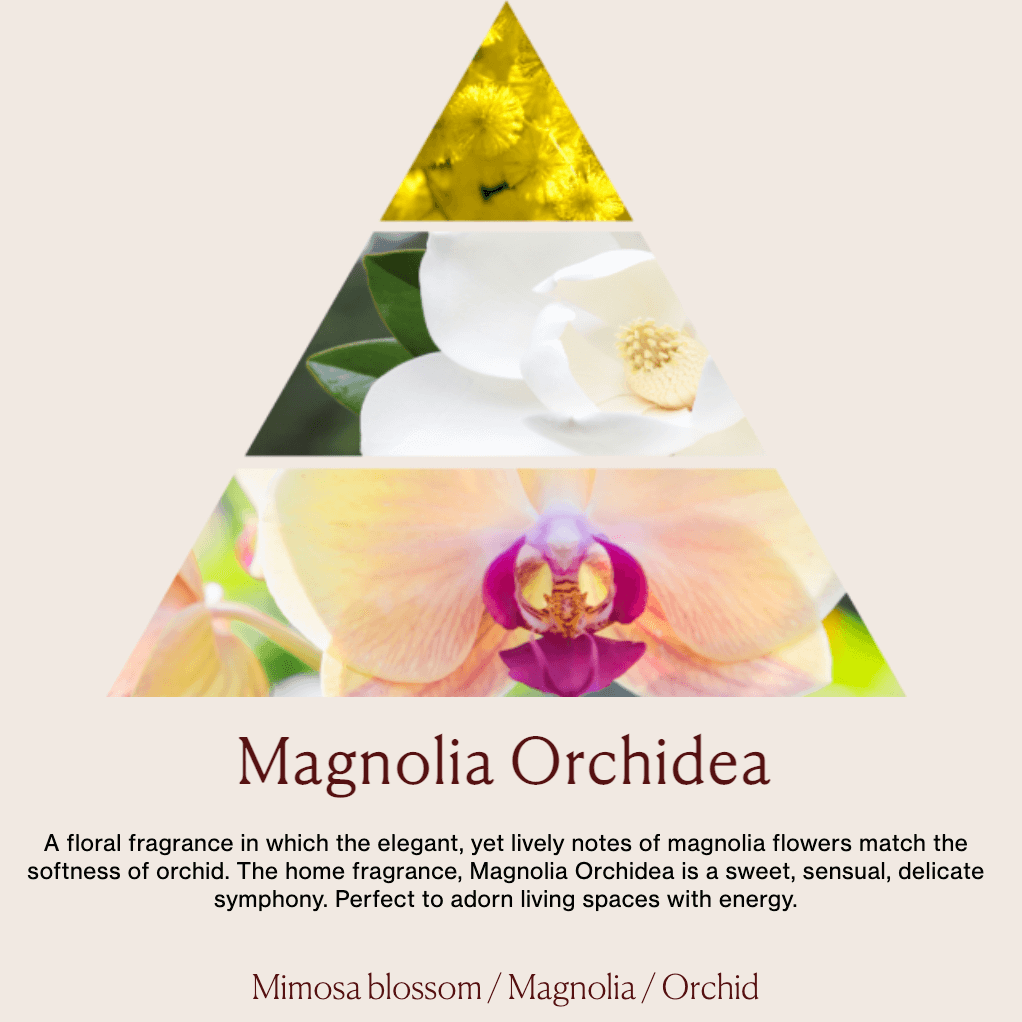 DR. VRANJES Home Fragrance in Magnolia Orchidea | CLOSET Singapore